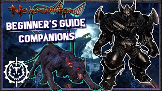 NEW Neverwinter Players How To Equip A Mount In Neverwinter [upl. by Snapp]