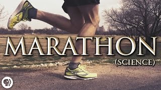 The Science of Marathon Running [upl. by Winnie]