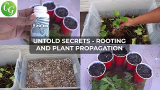 Secret Plant Cuttings Propagation Tips No One Will Tell You [upl. by Laertnom]