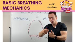 Basic Breathing Mechanics [upl. by Noffets846]