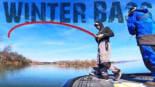 BASS FISHING on Lake Guntersville Tennessee River Special [upl. by Hasan]