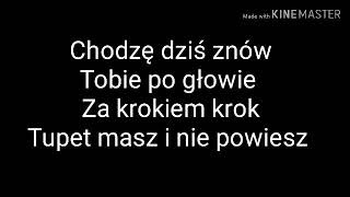 Cleo  quotZa krokiem krokquot Tekst [upl. by Runkle]