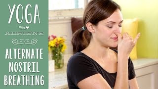 Yoga Breathing  Alternate Nostril Breathing [upl. by Nirihs]