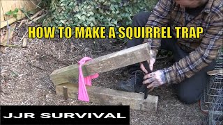 How To Make A Squirrel Trap [upl. by Eiliak783]