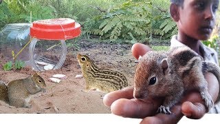 Squirrel Trap DIY How To Make Trap Squirrel [upl. by Aisak]