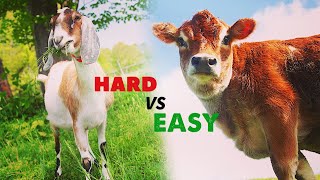 BEST AND WORST Livestock for Beginners [upl. by Prober]