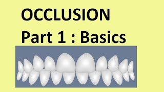 Occlusion  Part 1Basic concepts [upl. by Novaelc919]