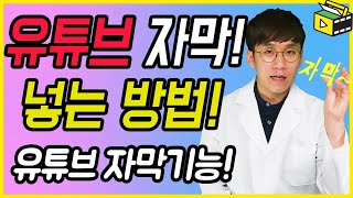 유튜브 자막넣기 어떻게 하는지 알려줄게요 유튜브 자막기능 유튜브랩 허피디 [upl. by Laon]