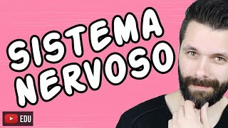 SISTEMA NERVOSO  FISIOLOGIA  Aula  Biologia com Samuel Cunha [upl. by Reniti]