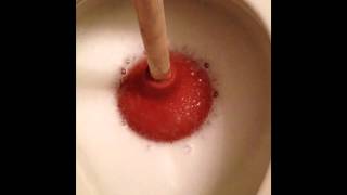 How To Clean A Toilet Plunger [upl. by Guenna]