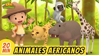 Animales Africanos Episodio Compilación Español  Leo El Explorador  Animación  Familia  Niños [upl. by Barra766]