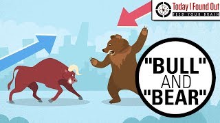 Why are Bull and Bear Markets Called That [upl. by Priscilla]