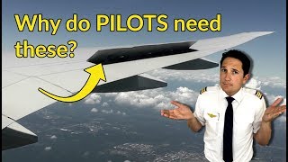 What are SPEEDBRAKESFLIGHT CONTROL SPOILERS Explained by CAPTAIN JOE [upl. by Dnomad]