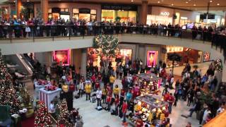 Flash Mob the best of Christmas 2011  Flash Mob Best Of [upl. by Aribold478]