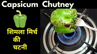 शिमला मिर्च की चटनी  How to make Capsicum Chutney – Monikazz Kitchen [upl. by Garcia198]