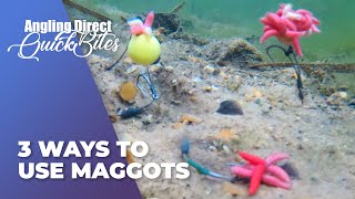 AD Quickbite – 3 Ways To Use Maggots [upl. by Filahk]