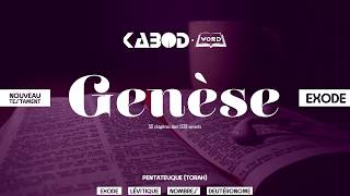 « Genèse »  LAncien Testament  La Sainte Bible audio VF Complète [upl. by Akoyn549]