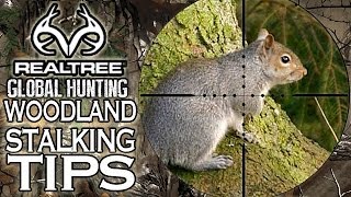 Squirrel Hunting Masterclass with Airgun Legend Terry Doe [upl. by Ledarf]