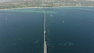 Busselton Jetty Open Water Swim [upl. by Ynnor]