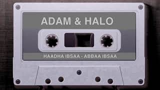 Adam Harun amp Halo Dawe Haadha Ibsaa  Oromo Music [upl. by Aneekan132]