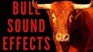 BULL SOUND EFFECTS  How Do Bull Sounds [upl. by Brent]