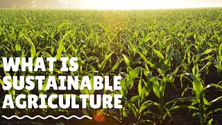 What is Sustainable Agriculture And How We Practice It [upl. by Eloise357]