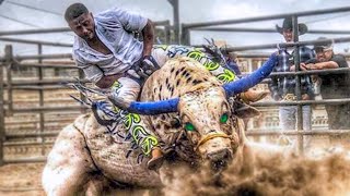 10 Most Dangerous Bulls of Rodeo History [upl. by Hamas]