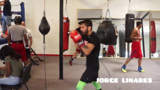 RYAN GARCIA amp JORGE LINARES AFTER SPARRING EACHOTHER [upl. by Jenkel]