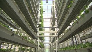 Vertical farms solve land problem [upl. by Anyg692]