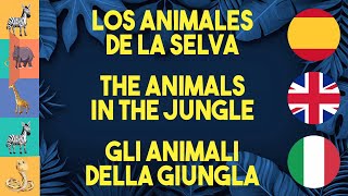 ADIVINAMOS los animales de la selva [upl. by Macgregor]