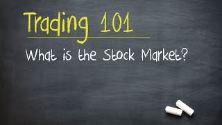 Trading 101 What is the Stock Market [upl. by Dnalyr]