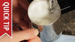 How to AutoFroth Milk for Lattes [upl. by Jorey]