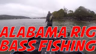 FIshing below the Guntersville Dam on Lake Wheeler for some Bass Alabama Rig Bass Fishing [upl. by Radnaskela]