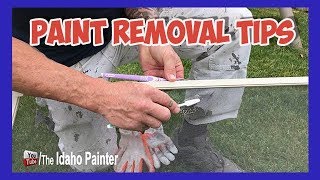 Cleaning Window Screens Paint REMOVAL Tips [upl. by Elysha]