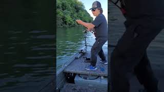 Guntersville AL bass fishing [upl. by Drofiar]