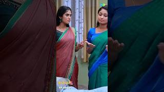 Malli Serial Shorts  Ep 300  4  Nikitha  Vijay  Saregama TV Shows Tamil shorts ytshorts [upl. by Nnyroc]