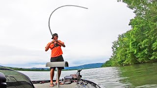 Fishing GRASS on LAKE GUNTERSVILLE for BIG BASS [upl. by Beaudoin]