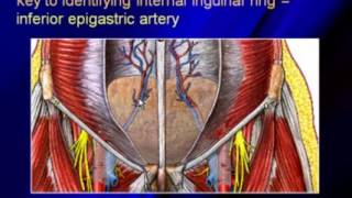 EP 6 The Pelvic Ultrasound [upl. by Yht]