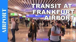 TRANSIT WALK AT FRANKFURT Airport FRA Terminal 1  Connection Flight Transfer Arriving amp Departing [upl. by Dhiren]